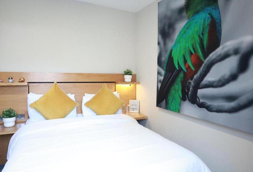 Номер Стандарт, Casa Panuco