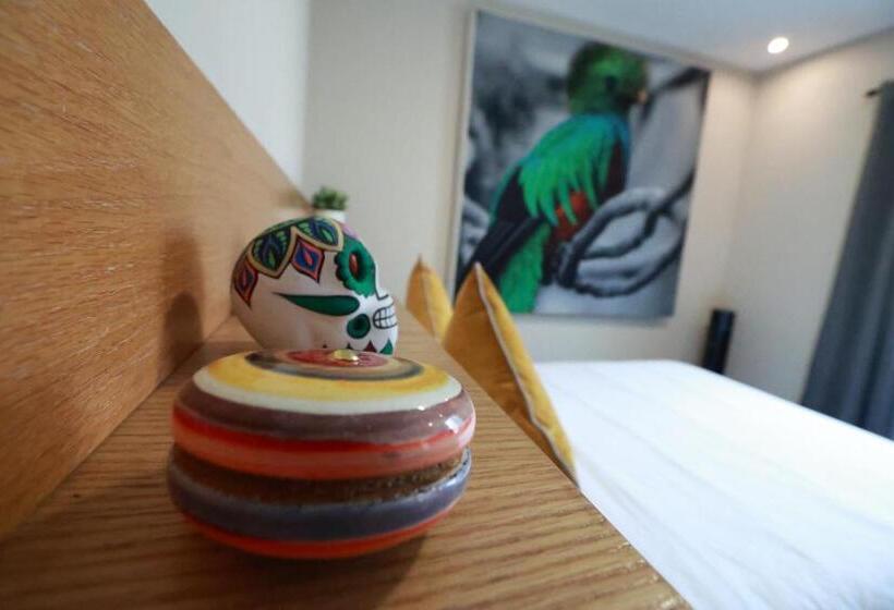 Номер Стандарт, Casa Panuco