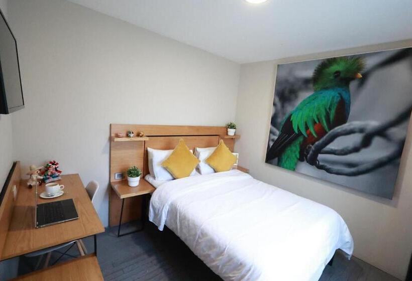 Номер Стандарт, Casa Panuco