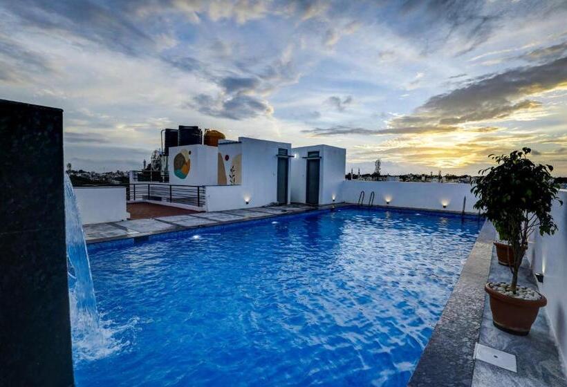 غرفة سوبيريور سرير كينج, Livaana