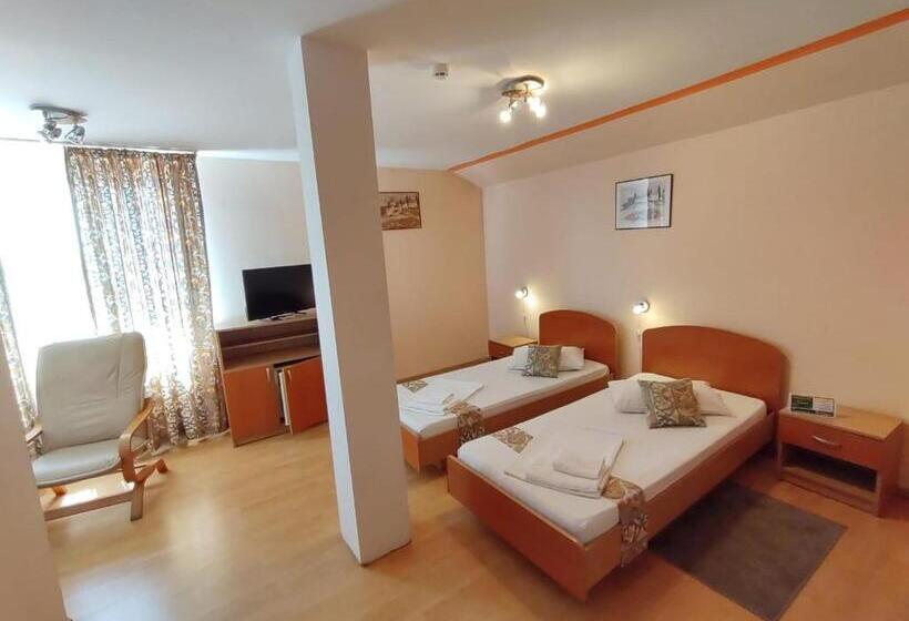 스탠다드 룸, Pensiunea Elena