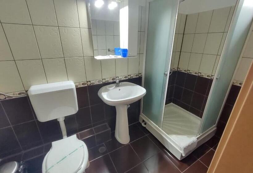 Трехместный Номер Комфорт, Pensiunea Elena