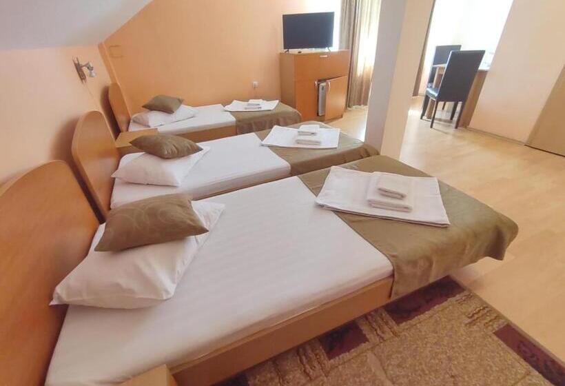 Трехместный Номер Комфорт, Pensiunea Elena