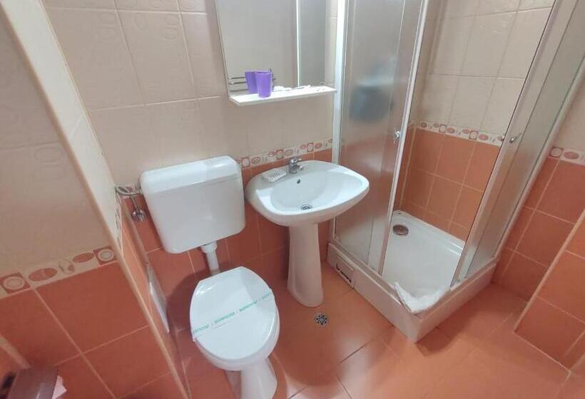 이코노미 싱글 룸, Pensiunea Elena