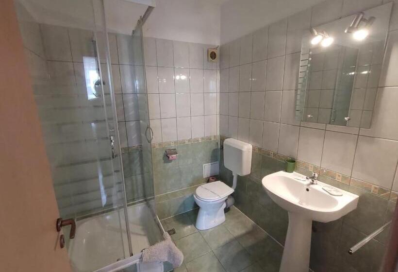 Номер Стандарт, Pensiunea Elena