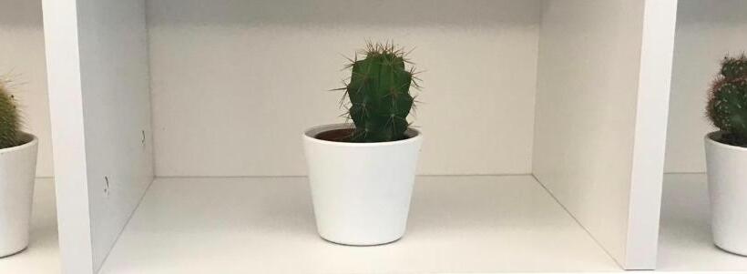 バルコニー付きスタンダードルーム, Millie S Place Sorrento