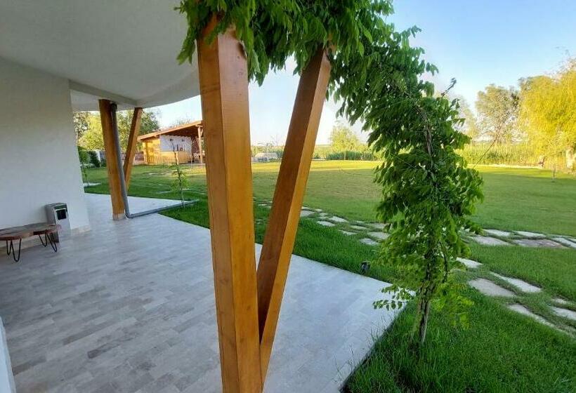 스탠다드 룸, Pensiunea Nest