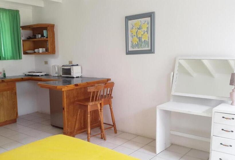 Apartamento 1 Dormitorio, Bananaquit Near The Beach!