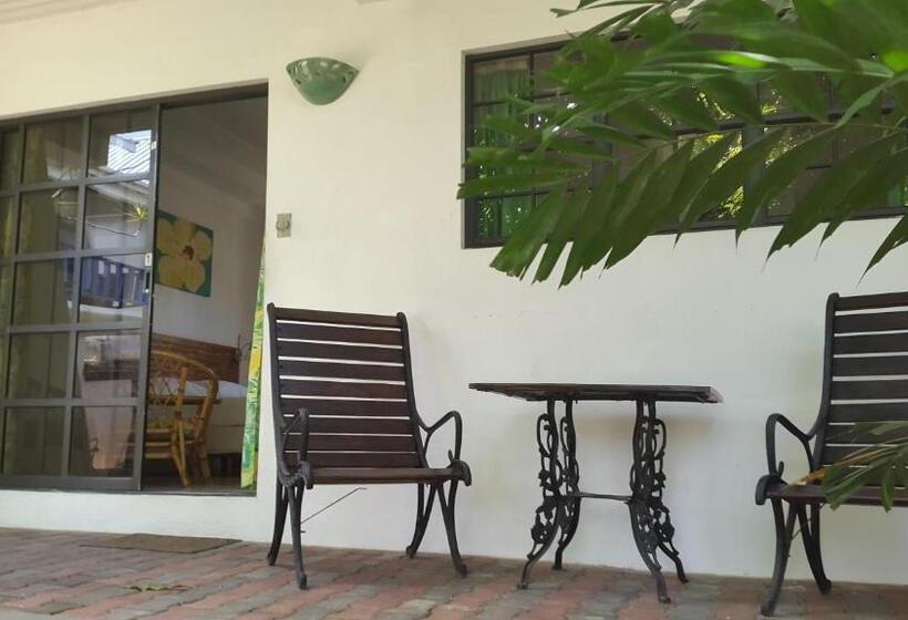 استودیوی استاندارد با تخت دوبل, Bananaquit Near The Beach!