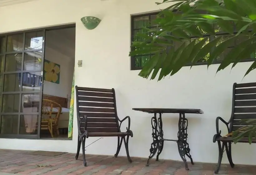 استودیوی استاندارد با تخت دوبل, Bananaquit Near The Beach!
