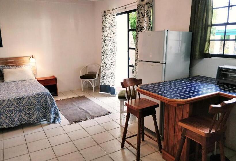 Estudio Estándar Cama Matrimonio, Bananaquit Near The Beach!