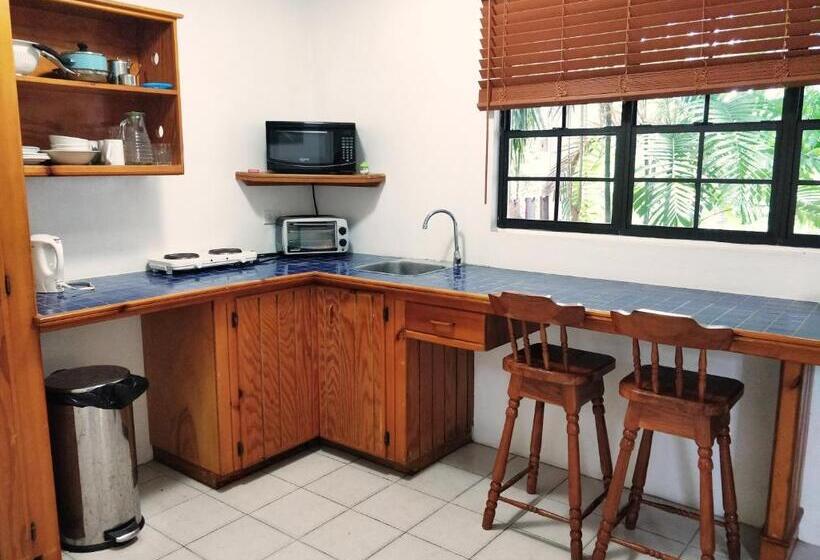 Estudio Estándar Cama Matrimonio, Bananaquit Near The Beach!