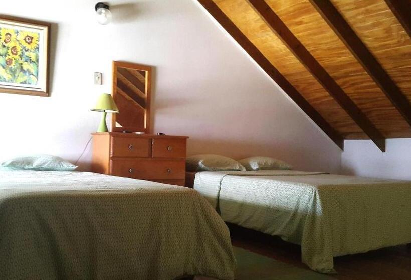 Apartamento 1 Dormitorio, Bananaquit Near The Beach!