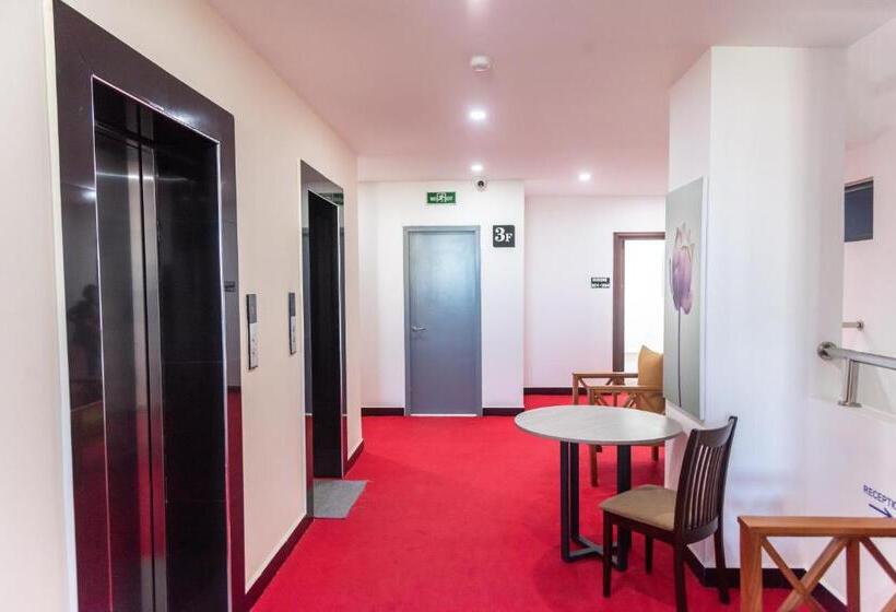 سوییت اجرایی, Pauraque Soho