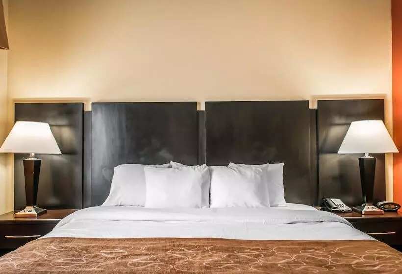 スイート, Comfort Suites Panama City Near Tyndall Afb