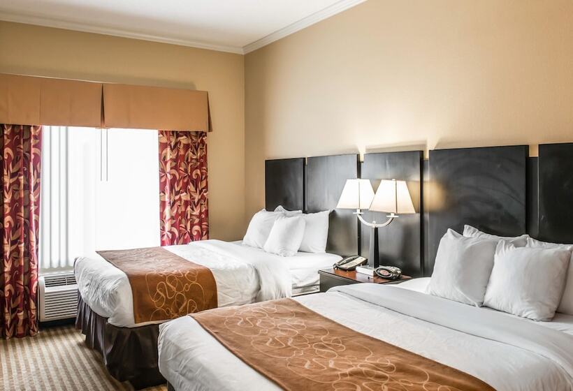 套房, Comfort Suites Panama City Near Tyndall Afb