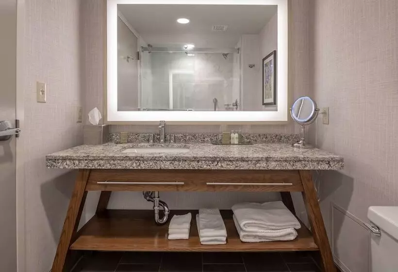 ダブルベッドスタンダードルーム, Doubletree By Hilton Dallas   Farmers Branch
