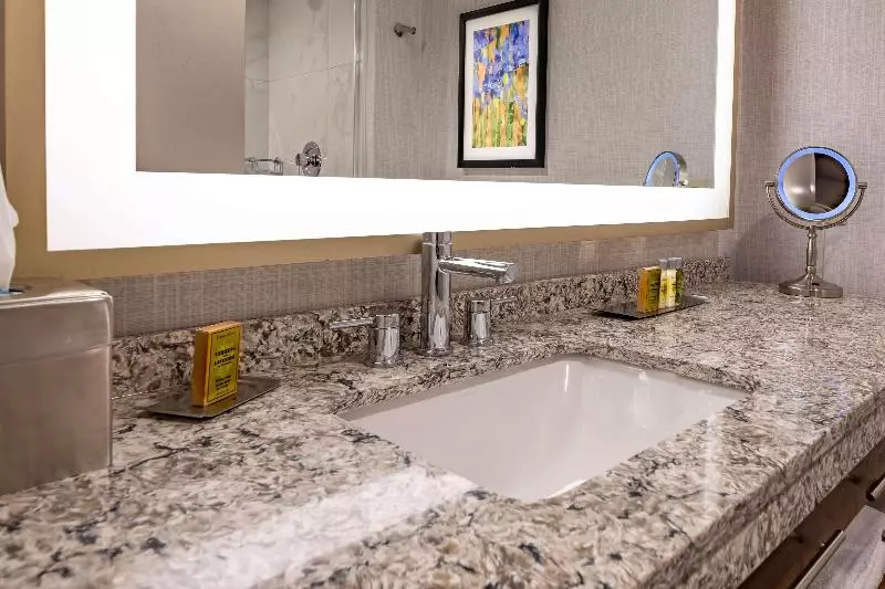 レイクビュースタンダードルーム, Doubletree By Hilton Dallas   Farmers Branch