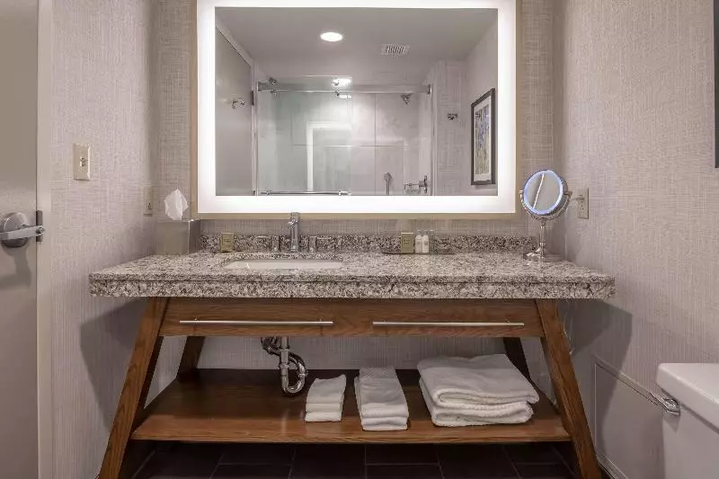 レイクビュースタンダードルーム, Doubletree By Hilton Dallas   Farmers Branch