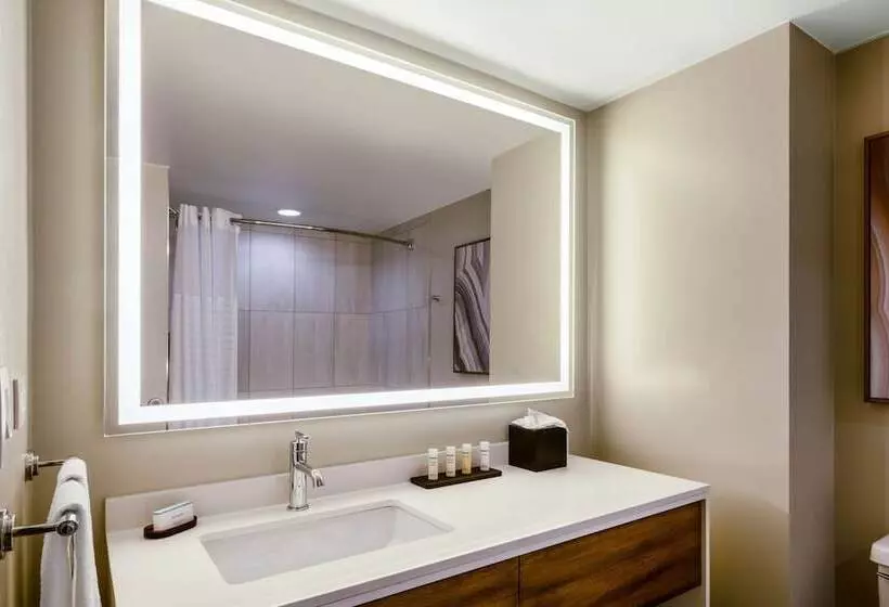 身障者適用スイートルーム, Embassy Suites By Hilton Albuquerque