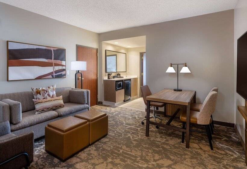 适合残疾人士使用的套间, Embassy Suites By Hilton Albuquerque