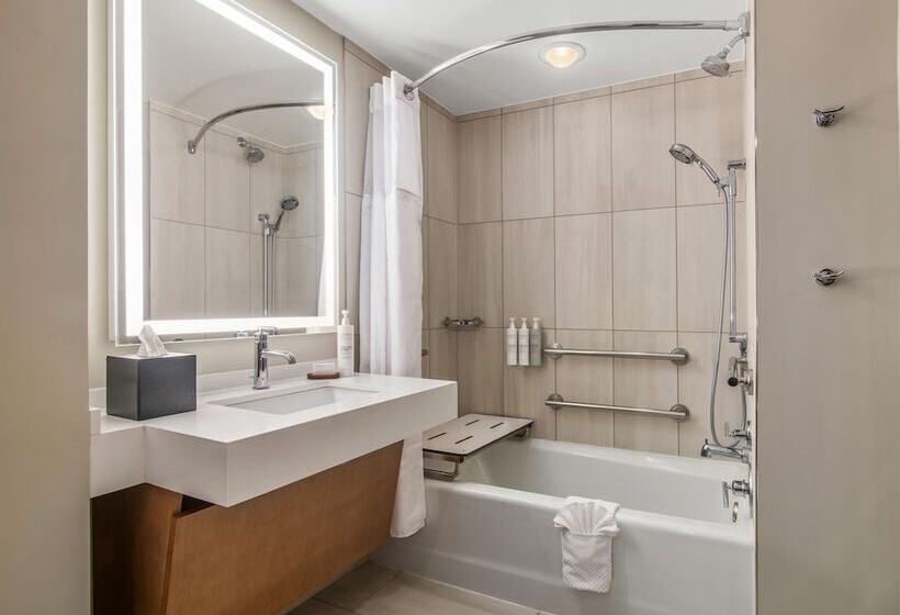Люкс Адаптированный для Инвалидов, Embassy Suites By Hilton Albuquerque