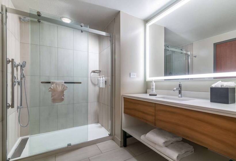 高级套房, Embassy Suites By Hilton Albuquerque