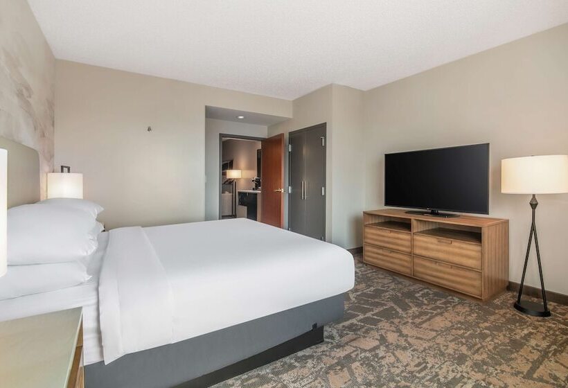 高级套房, Embassy Suites By Hilton Albuquerque