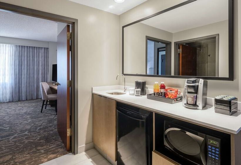 高级套房, Embassy Suites By Hilton Albuquerque