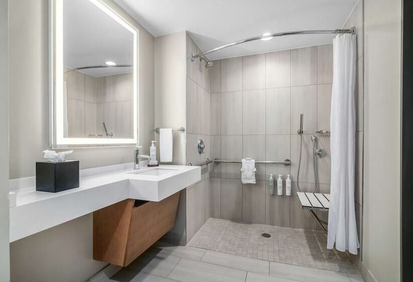 Люкс Адаптированный для Инвалидов, Embassy Suites By Hilton Albuquerque