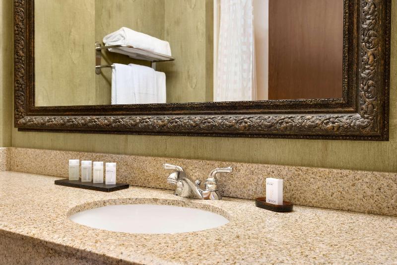 高级套房, Embassy Suites By Hilton Albuquerque