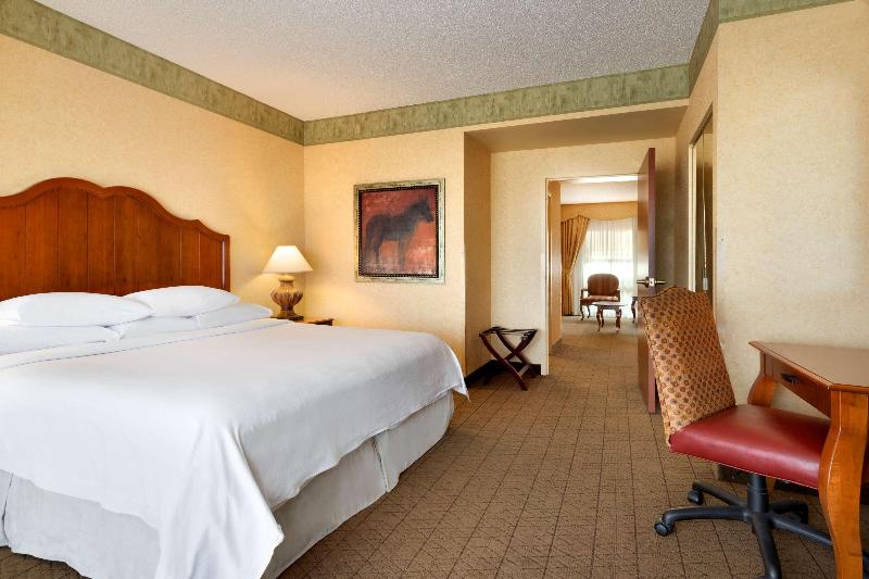 高级套房, Embassy Suites By Hilton Albuquerque