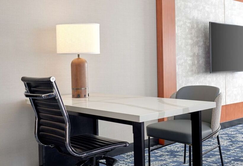 سوئیت با تخت بزرگ, Embassy Suites By Hilton Washington D.c. – Convention Center