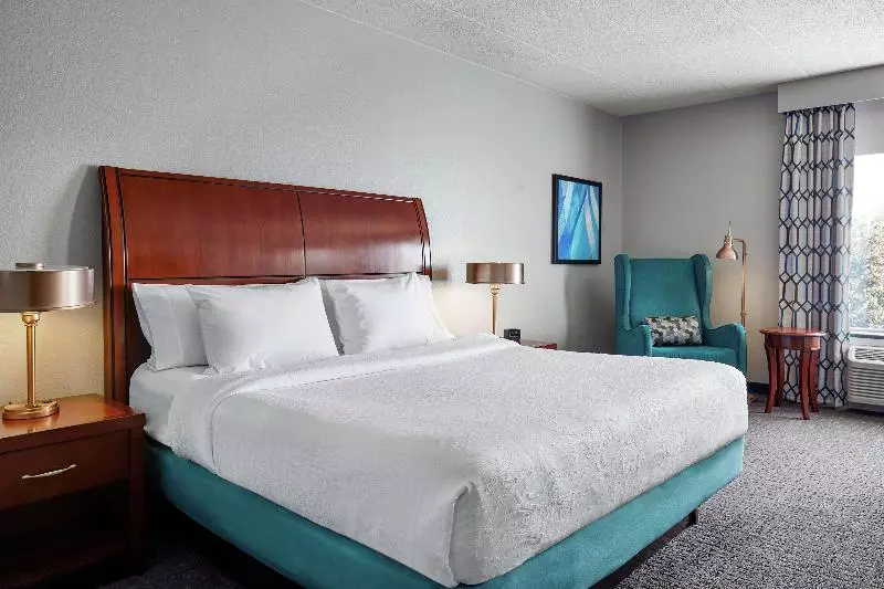 キングサイズベッドのスタンダードルーム, Hilton Garden Inn Allentown West