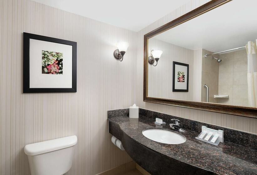 جناح, Hilton Garden Inn Denver/highlands Ranch