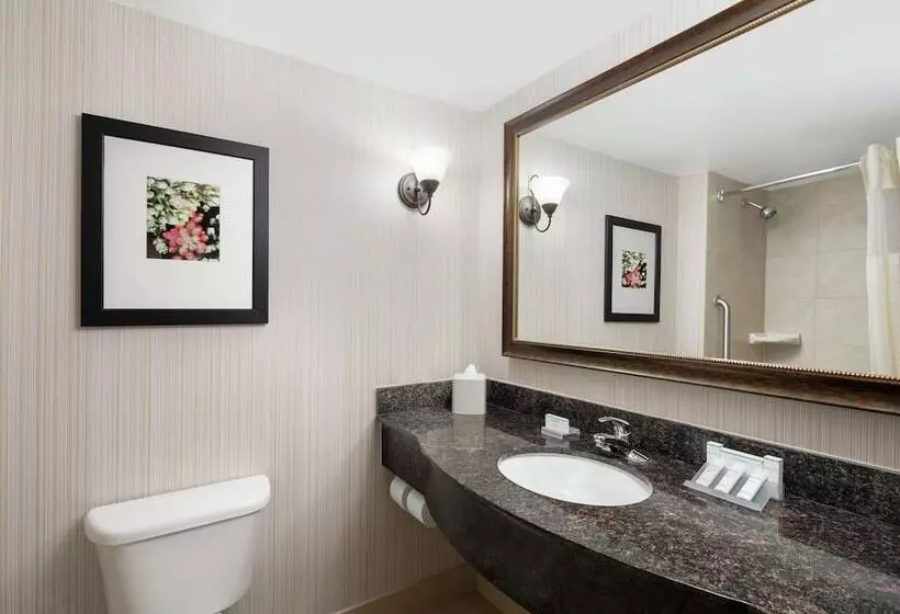 スイート, Hilton Garden Inn Denver/highlands Ranch