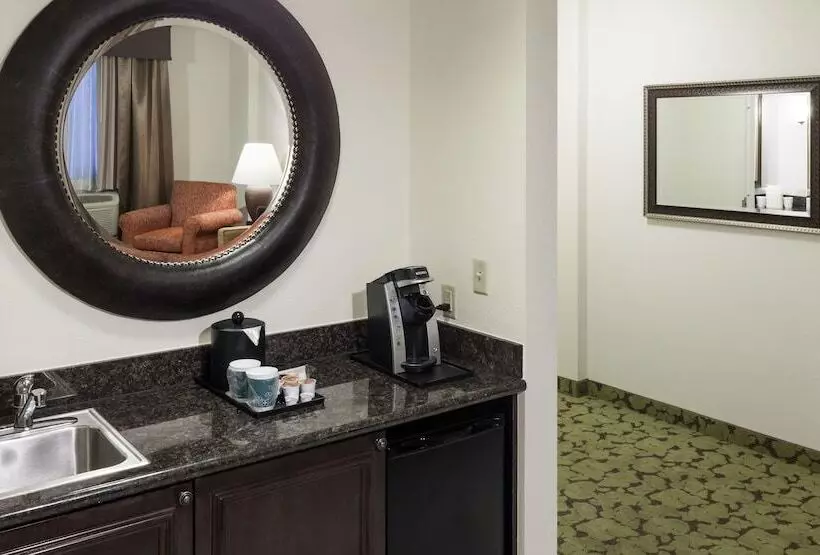 スイート, Hilton Garden Inn Denver/highlands Ranch