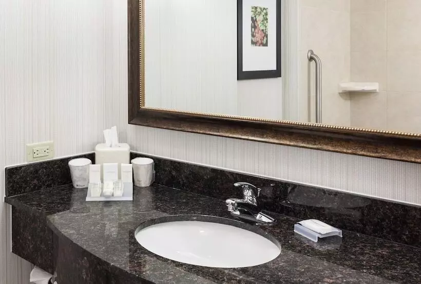 スイート, Hilton Garden Inn Denver/highlands Ranch