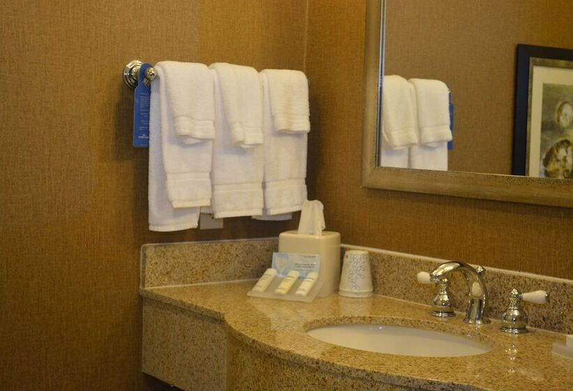 Номер Стандарт, Hilton Garden Inn Houstonpearland