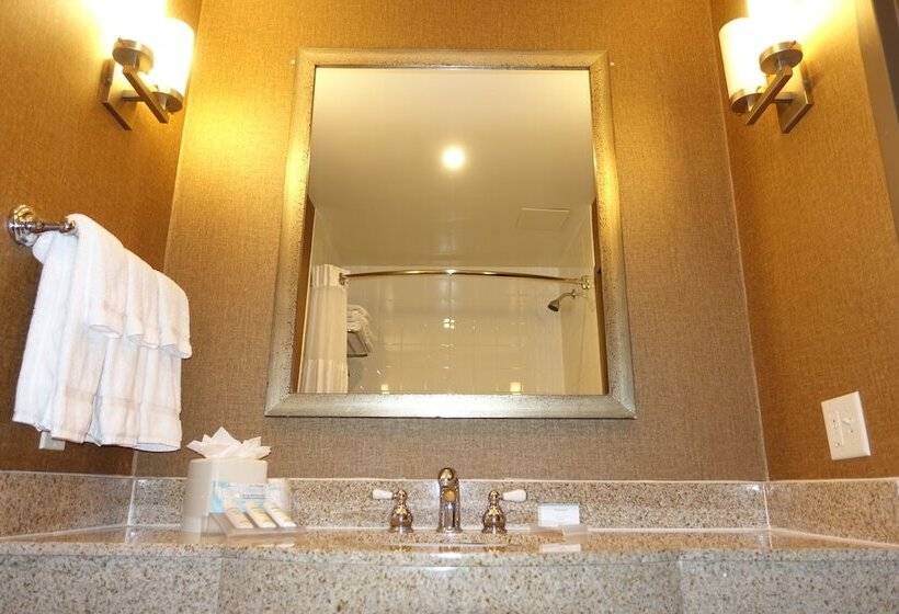 Номер Стандарт, Hilton Garden Inn Houstonpearland