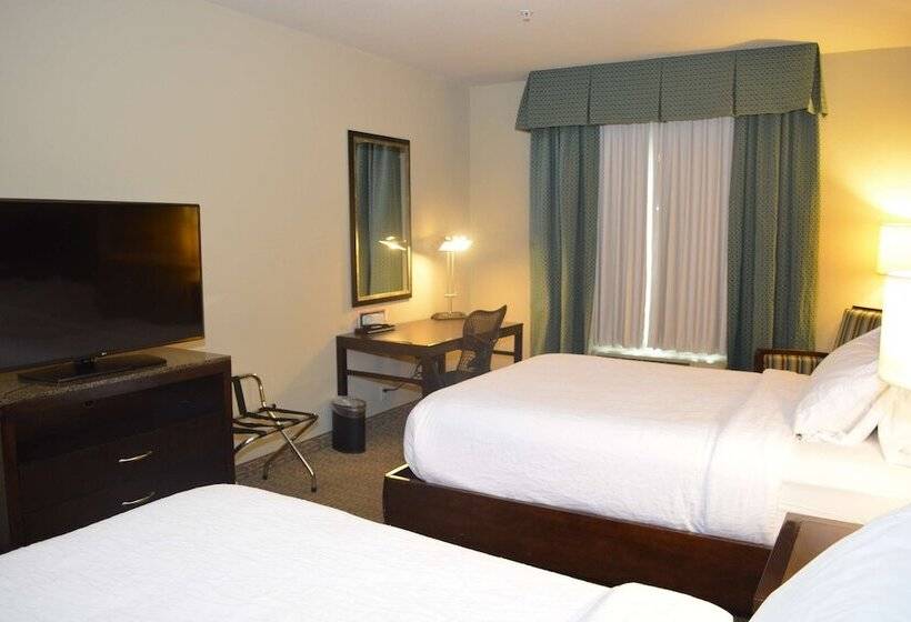 스탠다드 룸, Hilton Garden Inn Houstonpearland