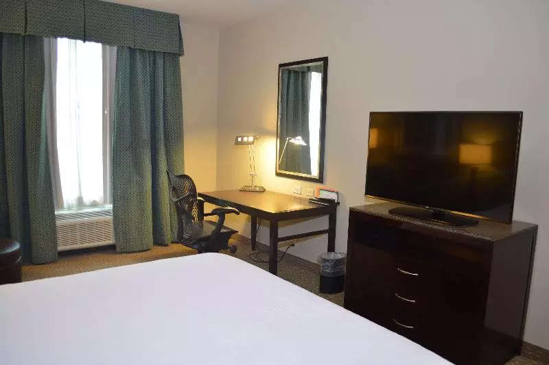 キングサイズベッドのスタンダードルーム, Hilton Garden Inn Houstonpearland