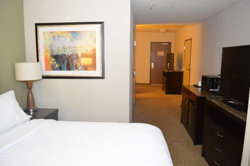 주니어 스위트 킹사이즈 침대, Hilton Garden Inn Houstonpearland