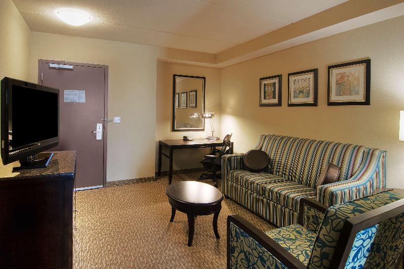 Полулюкс Кровать Кинг, Hilton Garden Inn Houstonpearland