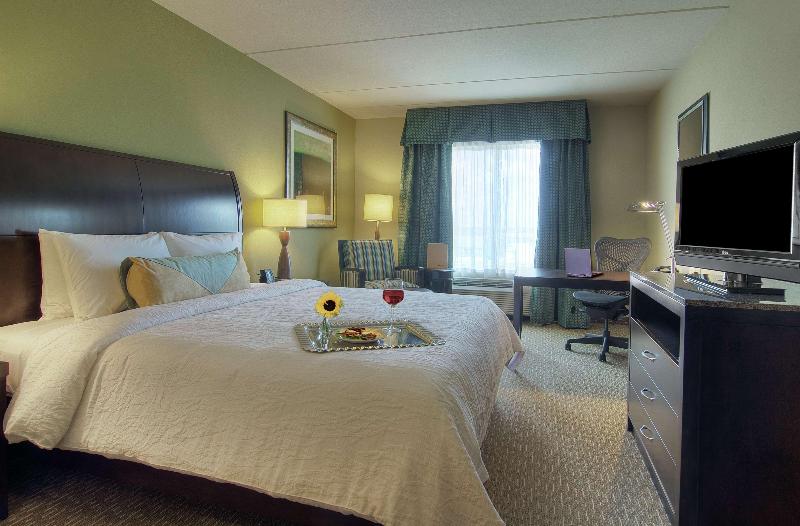 스탠다드 룸 킹사이즈 침대, Hilton Garden Inn Houstonpearland