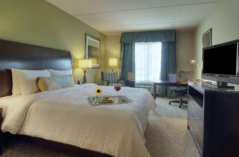 キングサイズベッドのスタンダードルーム, Hilton Garden Inn Houstonpearland
