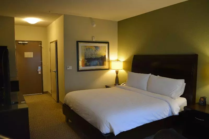 キングサイズベッドのスタンダードルーム, Hilton Garden Inn Houstonpearland