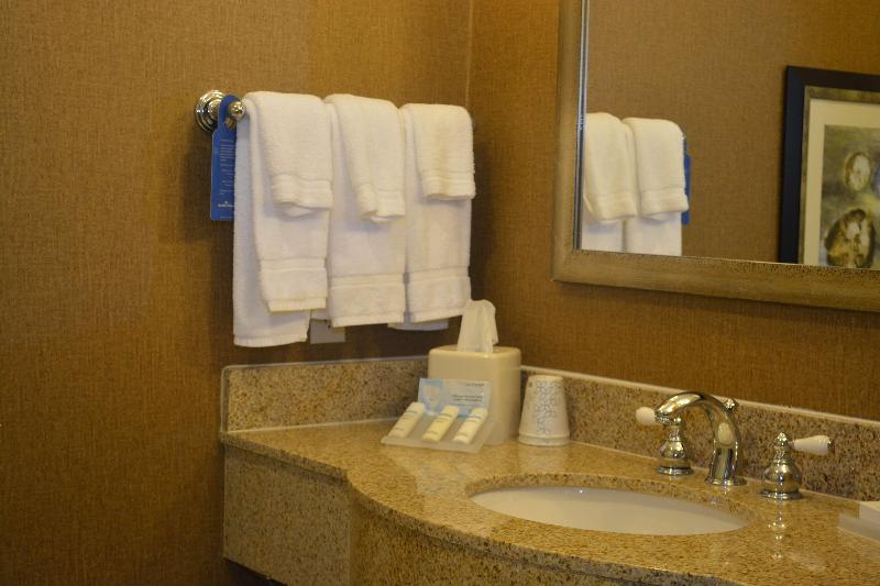 Стандартный Номер Кровать Кинг, Hilton Garden Inn Houstonpearland