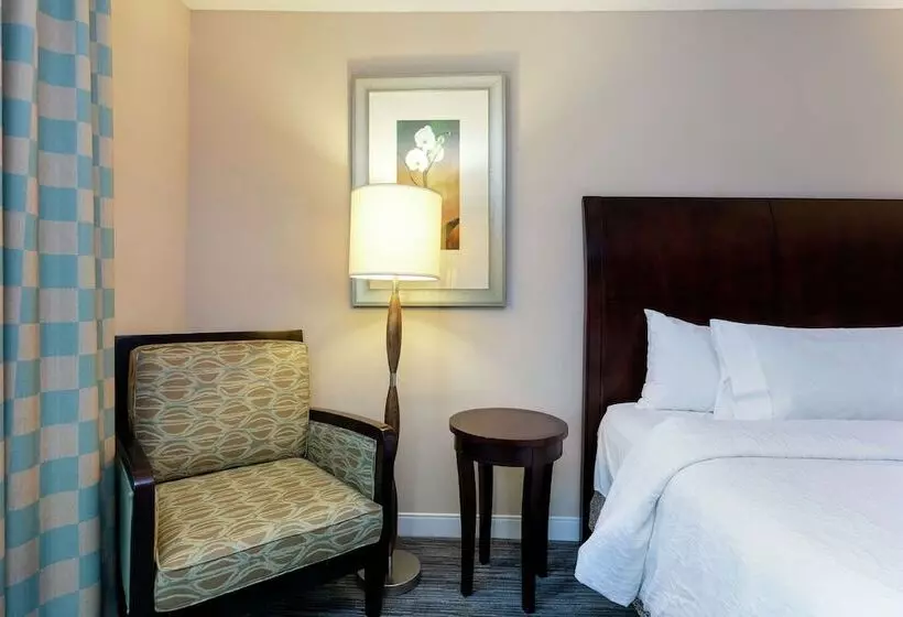 スタンダードルーム, Hilton Garden Inn Mobile West I 65/airport Blvd