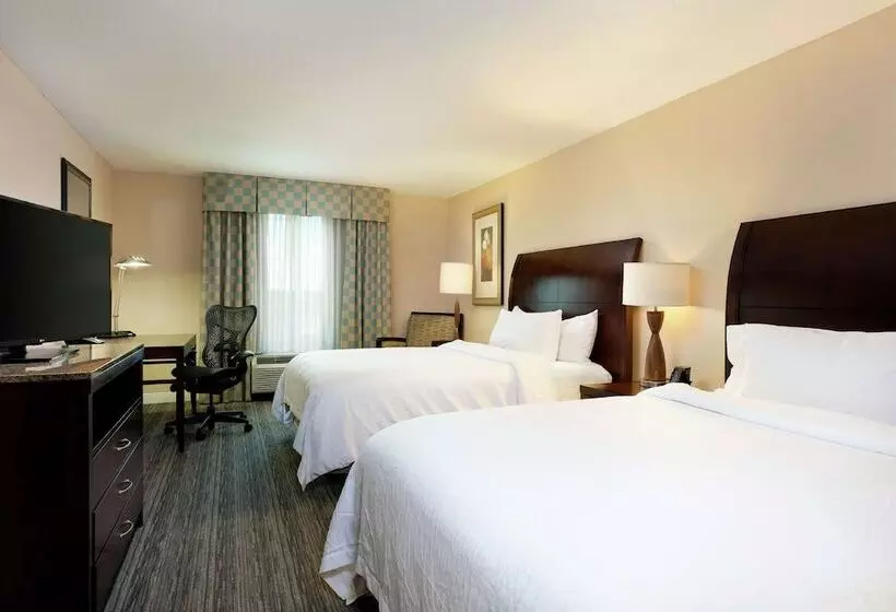 スタンダードルーム, Hilton Garden Inn Mobile West I 65/airport Blvd